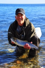 The author The author