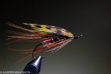 Complete fly Complete fly