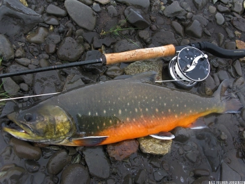 Short top handle Short top handle