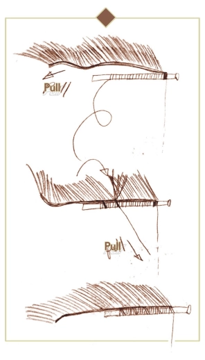 Zonker strip Zonker strip