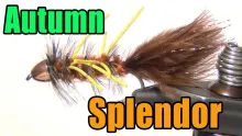 Video thumb for Autumn Splendor Streamer