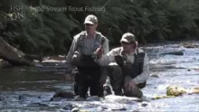 Video thumb for Small Stream Trout Fishing