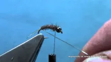 Video thumb for Hot Spot Pheasant Tail Nymph