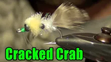 Video thumb for Cracked Crab Bonefish Fly