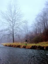 User submitted picture: My fishing buddy