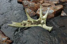 User submitted picture: Catch of the day.