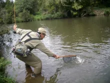 User submitted picture: Netting the trout!
