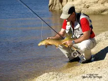 User submitted picture: Result of the day 15 Agos...