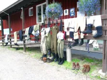 User submitted picture: Big family !! by www.guid...