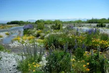 User submitted picture: Late Spring on the legend...