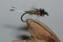 User submitted picture: Wild Trout Food          ...