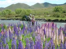 User submitted picture: There are many thousands ...