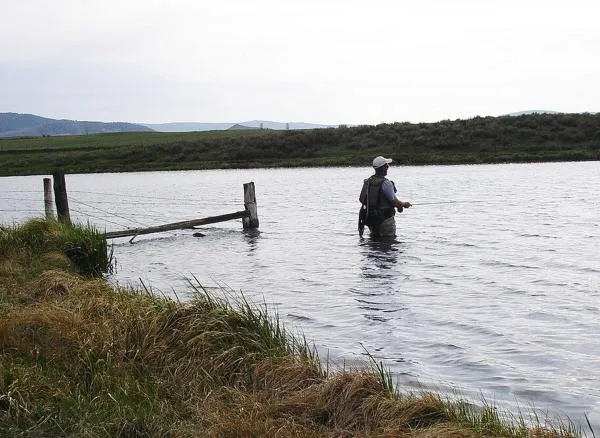 User submitted picture: Working leech patterns on...