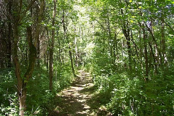 User submitted picture: Should I walk faster to g...