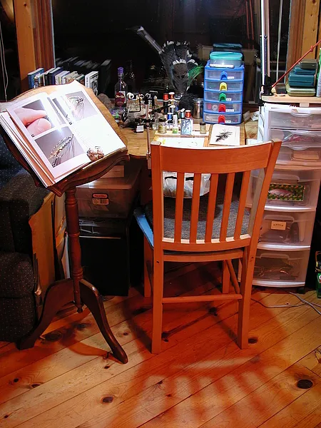 User submitted picture: The Home Office- With my ...