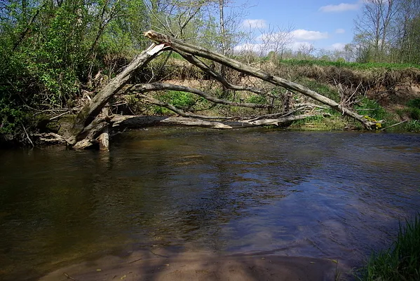 User submitted picture: Good place for big trout