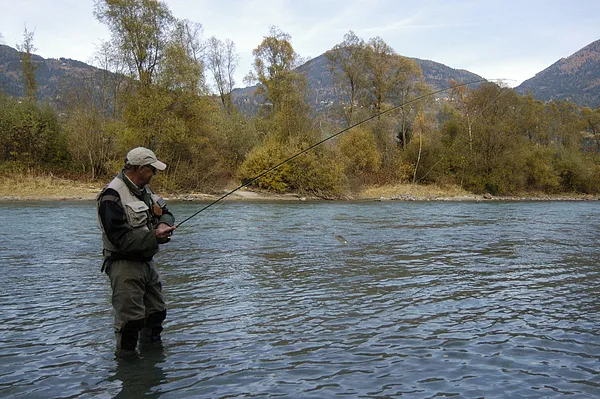 User submitted picture: Fighting a good sized gra...