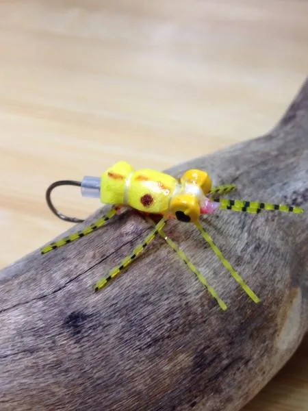 User submitted picture: This fly is built on a mi...