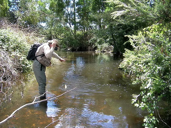 User submitted picture: You soon refine your roll...